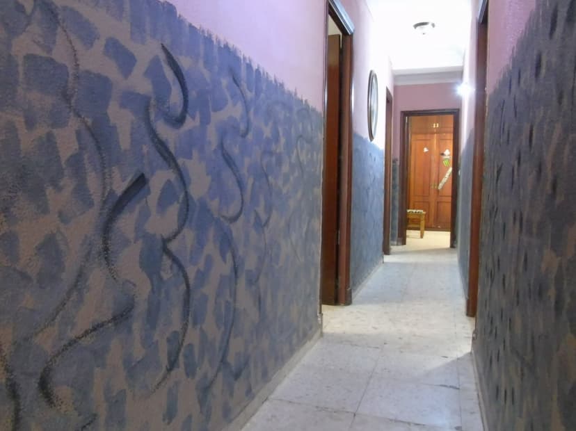 Imagen 11